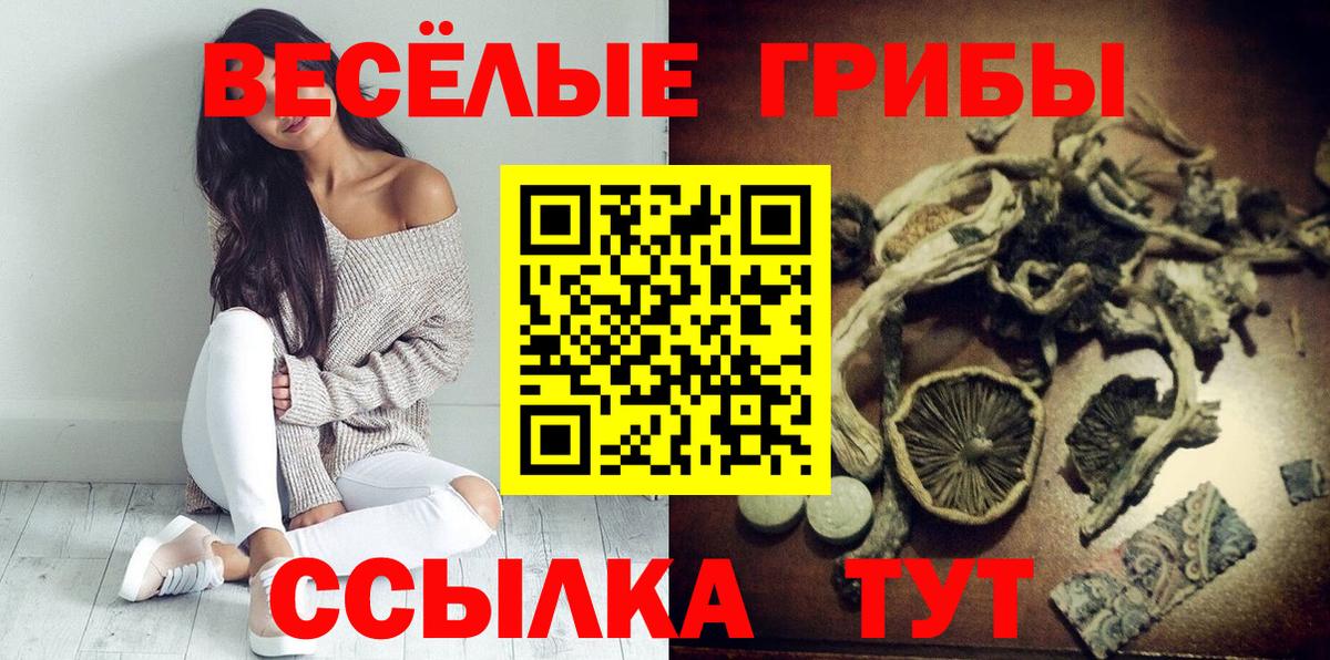 Галлюциногенные грибы Psilocybine cubensis Советский
