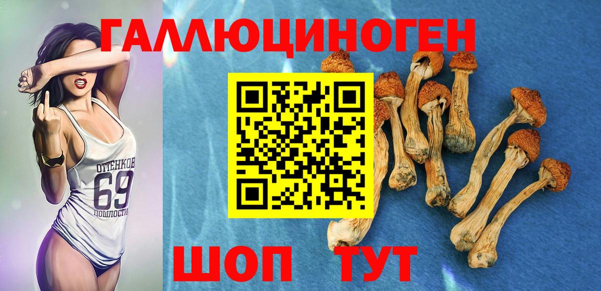 закладка  Вход с VPN  Псилоцибиновые грибы Psilocybine cubensis  Советский  Псилоцибиновые грибы Psilocybine cubensis 